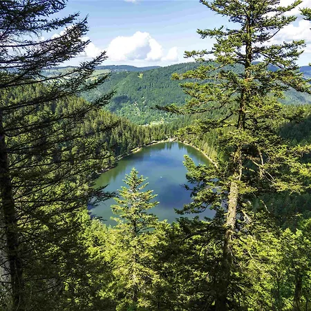 Ibis Gerardmer Hotel 3*